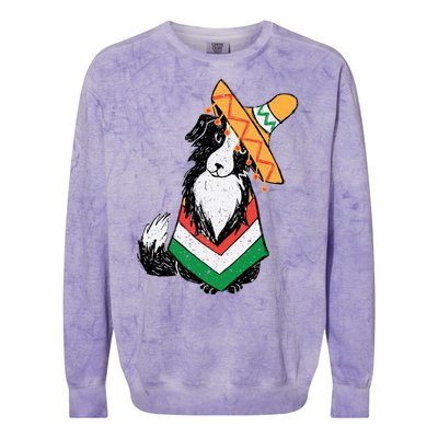 Cinco De Mayo Dog Colorblast Crewneck Sweatshirt