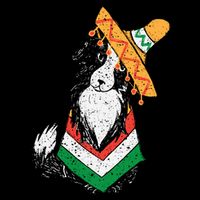Cinco De Mayo Dog USA-Made Doggie Bandana