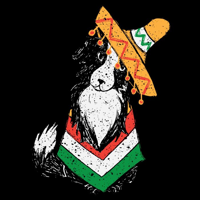 Cinco De Mayo Dog USA-Made Doggie Bandana