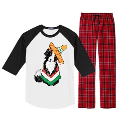 Cinco De Mayo Dog Raglan Sleeve Pajama Set