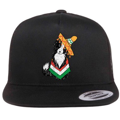 Cinco De Mayo Dog Flatbill Hat