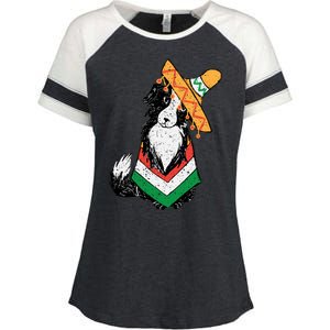 Cinco De Mayo Dog Enza Ladies Jersey Colorblock Tee