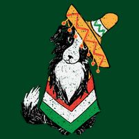 Cinco De Mayo Dog Cooling Performance Crew T-Shirt