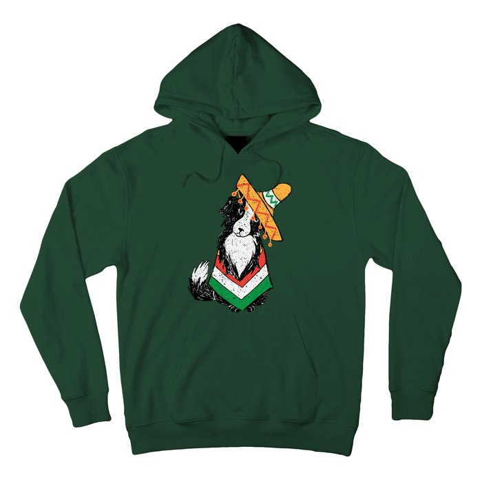 Cinco De Mayo Dog Hoodie