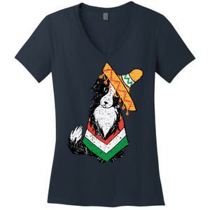 Cinco De Mayo Dog Women's V-Neck T-Shirt