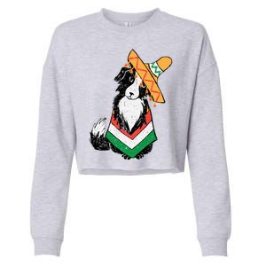 Cinco De Mayo Dog Cropped Pullover Crew