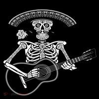 Cinco De Mayo Skeleton Playing the Guitar Stripe Pom Pom Beanie