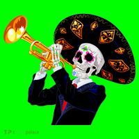 Cinco De Mayo Sugar Skull Playing Trumpet Magnet