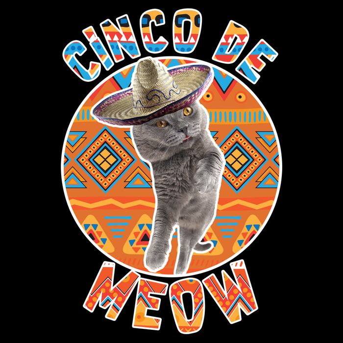 Cinco De Meow USA-Made Doggie Bandana