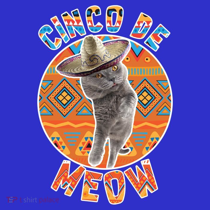 Cinco De Meow Poster