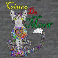 Cinco De Meow Funny Mexican Cat Flatbill Hat