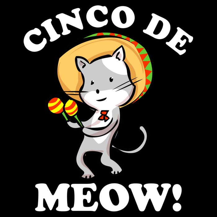 Cinco De Meow! Mayo Funny Mexican Cat City Backpack