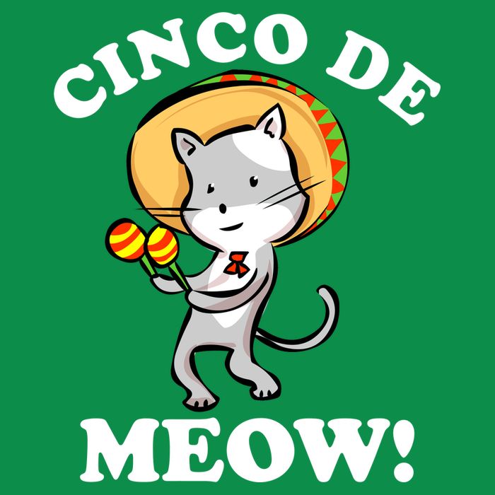 Cinco De Meow! Mayo Funny Mexican Cat T-Shirt