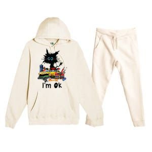 Cats Im Ok Funny Quilting Love Cats Premium Hooded Sweatsuit Set