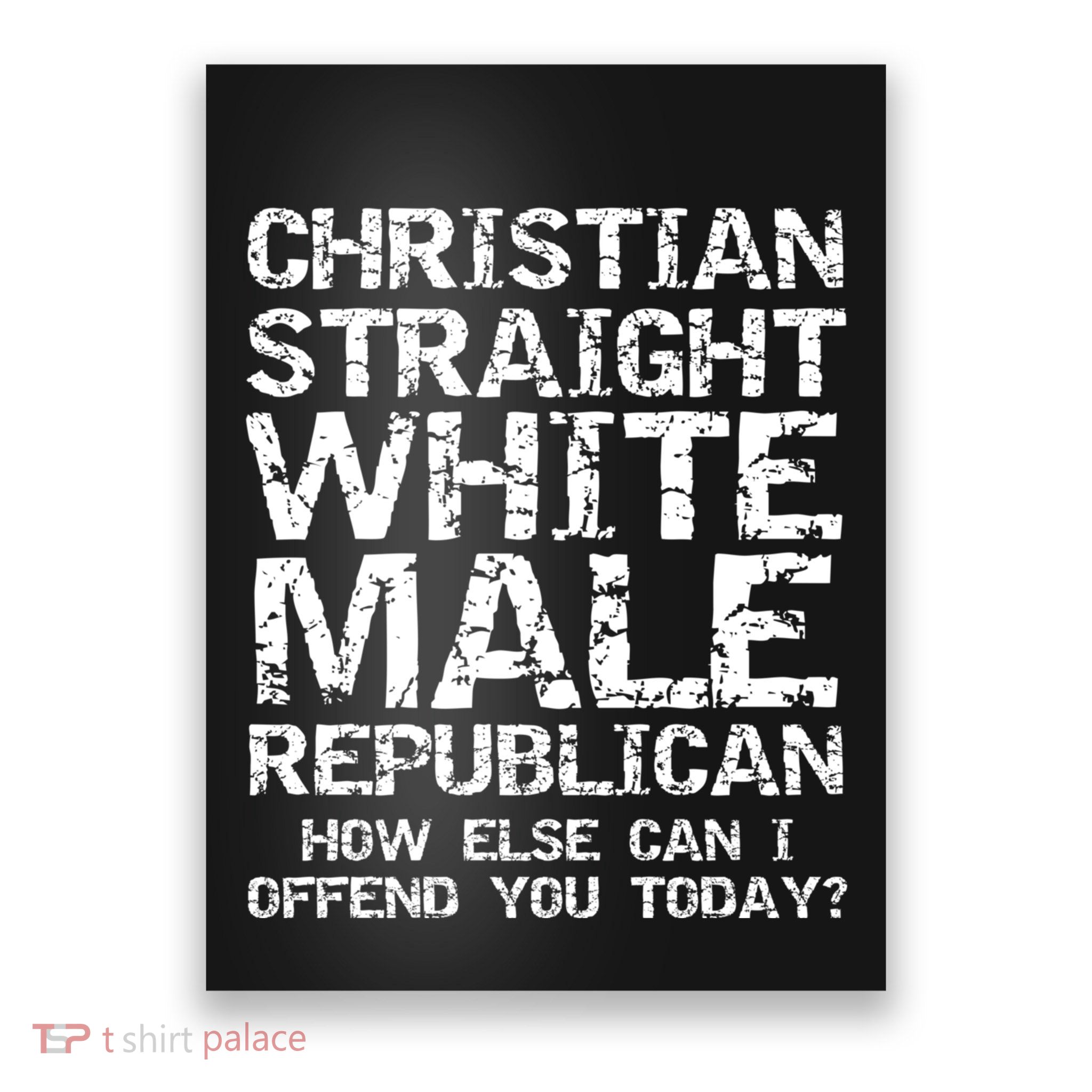 Can I Offend You? Christian Straight White Male Republican Poster