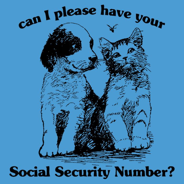 Can I Please Have Your Social Security Number Tie Dye Hoodie