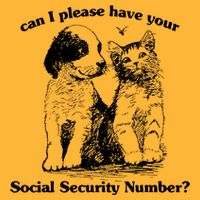 Can I Please Have Your Social Security Number Pom Pom 12in Knit Beanie