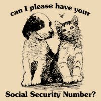Can I Please Have Your Social Security Number Bag