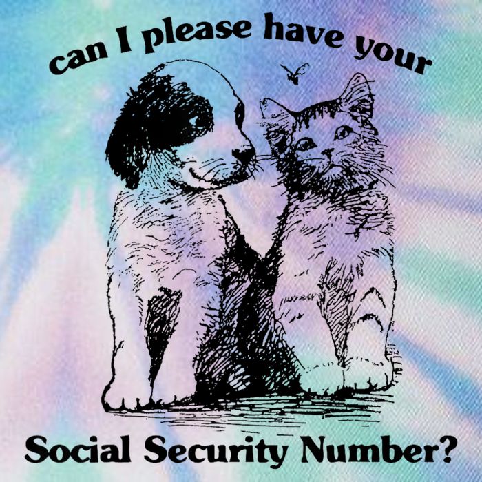 Can I Please Have Your Social Security Number Legacy Tie Dye Trucker Hat