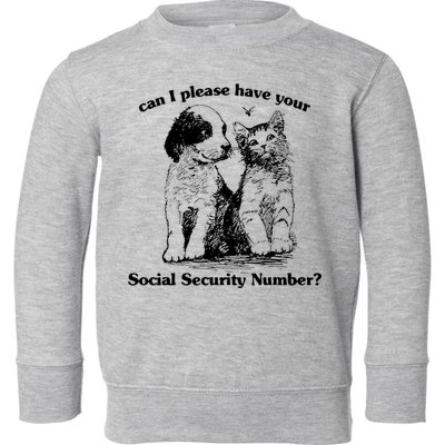 Can I Please Have Your Social Security Number Toddler Sweatshirt