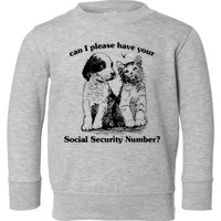 Can I Please Have Your Social Security Number Toddler Sweatshirt