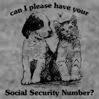 Can I Please Have Your Social Security Number Toddler Sweatshirt