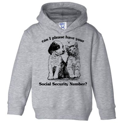 Can I Please Have Your Social Security Number Toddler Hoodie