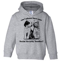 Can I Please Have Your Social Security Number Toddler Hoodie