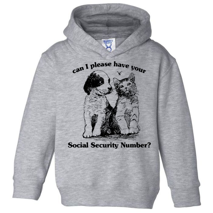 Can I Please Have Your Social Security Number Toddler Hoodie