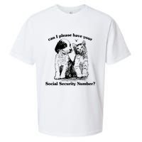 Can I Please Have Your Social Security Number Sueded Cloud Jersey T-Shirt