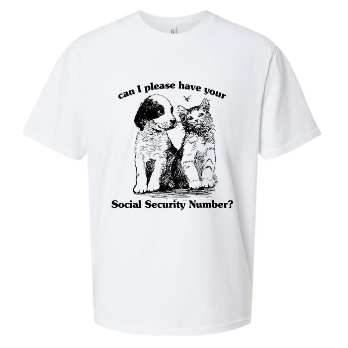 Can I Please Have Your Social Security Number Sueded Cloud Jersey T-Shirt