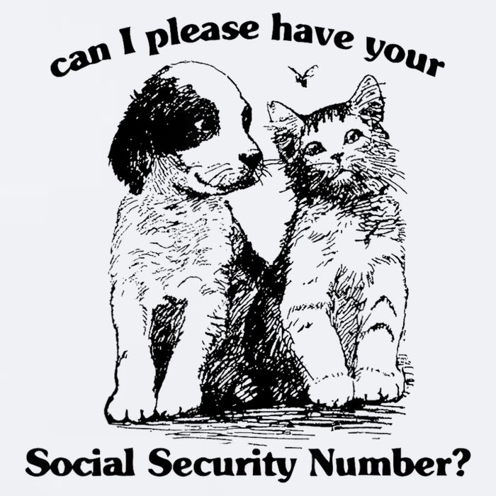 Can I Please Have Your Social Security Number Sueded Cloud Jersey T-Shirt
