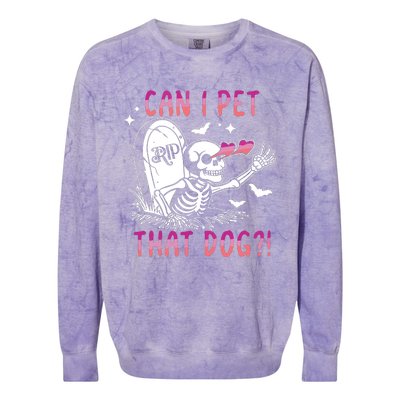 Can I Pet That Dog Skeleton Halloween Colorblast Crewneck Sweatshirt