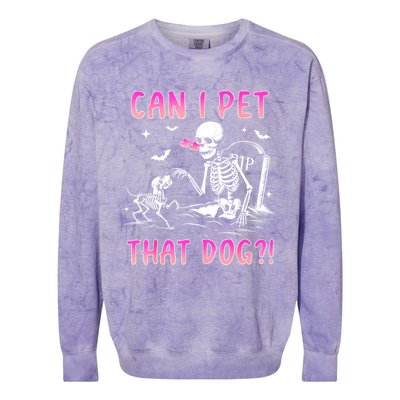 Can I Pet That Dog Funny Skeleton Dog Lover Halloween Colorblast Crewneck Sweatshirt