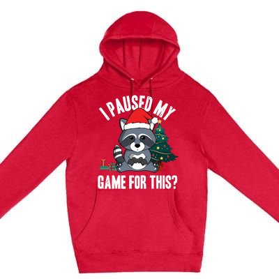 Christmas I Paused My Game For This? Raccoon Lovers Gamer Meaningful Gift Premium Pullover Hoodie