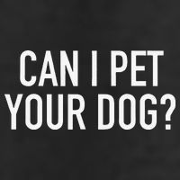 Can I Pet Your Dog Popular Funny Quote Adult Drive Performance Visor
