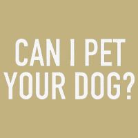 Can I Pet Your Dog Popular Funny Quote Cooling Performance Crew T-Shirt