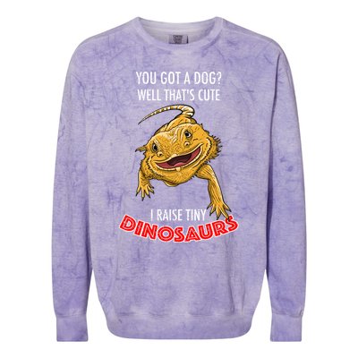 Cool I Raise Tiny Dinosaurs Funny Bearded Dragon Pet Gift Meaningful Gift Colorblast Crewneck Sweatshirt