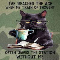 Cat Ive Reached The Age When My Train Of Thought Legacy Tie Dye Trucker Hat
