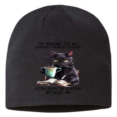 Cat Ive Reached The Age When My Train Of Thought Sustainable Beanie
