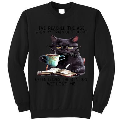 Cat Ive Reached The Age When My Train Of Thought Tall Sweatshirt