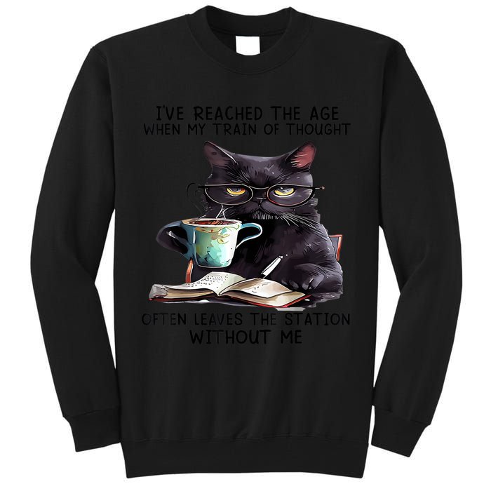 Cat Ive Reached The Age When My Train Of Thought Tall Sweatshirt