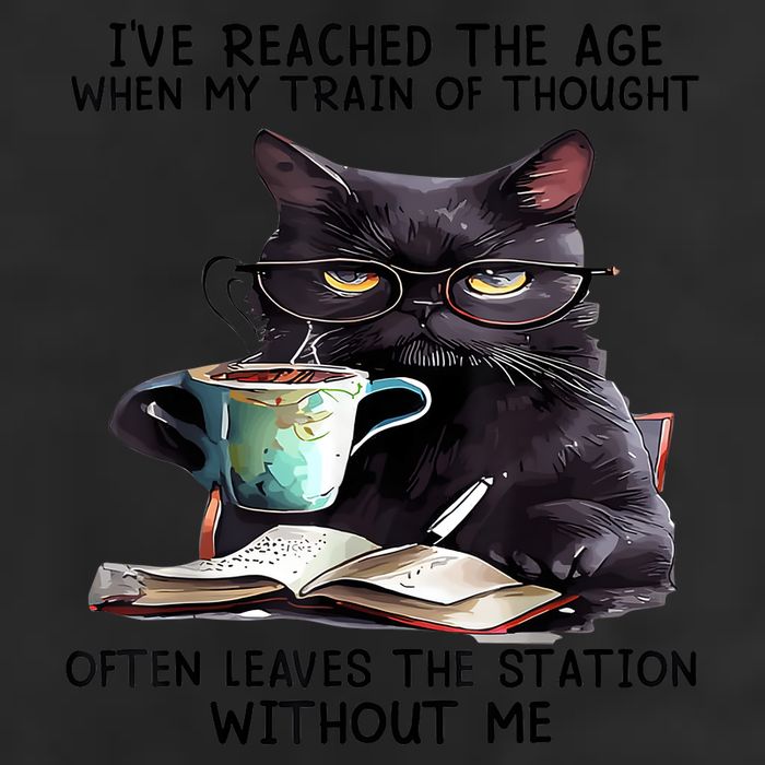 Cat Ive Reached The Age When My Train Of Thought 25L Jumbo Tote