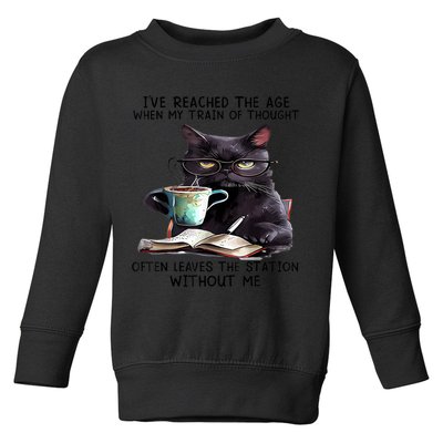 Cat Ive Reached The Age When My Train Of Thought Toddler Sweatshirt