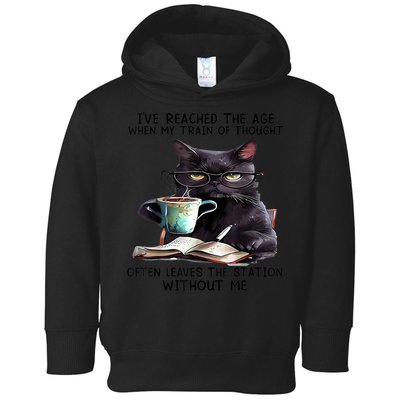 Cat Ive Reached The Age When My Train Of Thought Toddler Hoodie