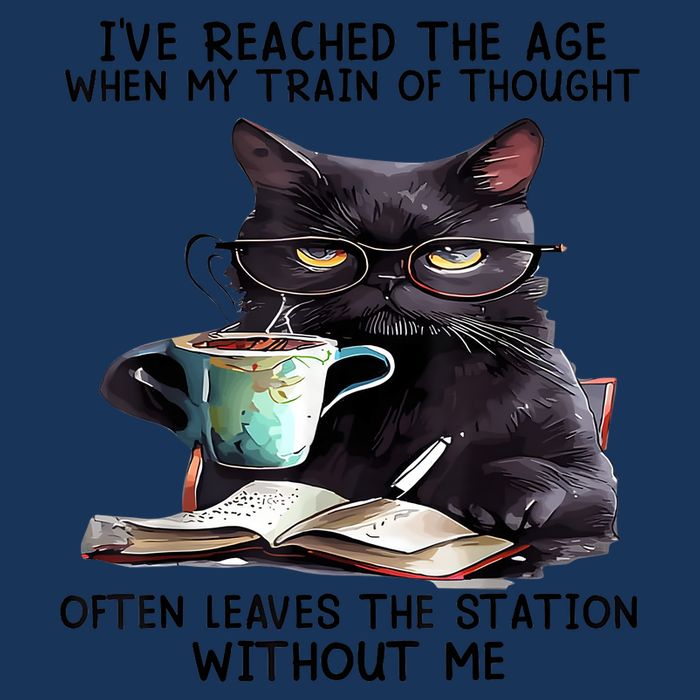 Cat Ive Reached The Age When My Train Of Thought Infant Baby Jersey Bodysuit