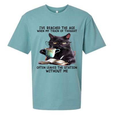 Cat Ive Reached The Age When My Train Of Thought Sueded Cloud Jersey T-Shirt