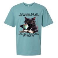 Cat Ive Reached The Age When My Train Of Thought Sueded Cloud Jersey T-Shirt