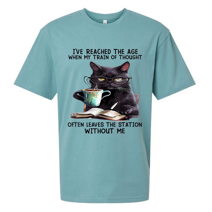 Cat Ive Reached The Age When My Train Of Thought Sueded Cloud Jersey T-Shirt