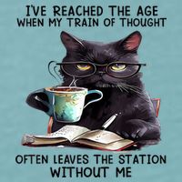 Cat Ive Reached The Age When My Train Of Thought Sueded Cloud Jersey T-Shirt